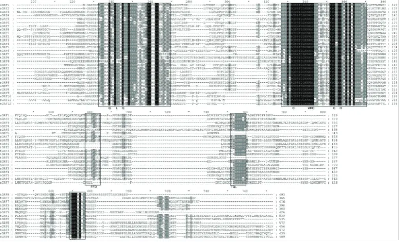 Fig. 1. Multiple sequence alignment of the GRF proteins from cucumber, Arabidopsis and rice