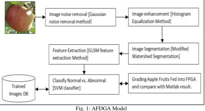 Fig. 1: AFDGA Model 