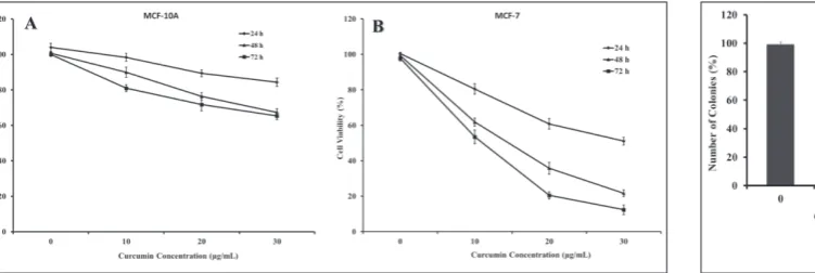 Fig. 1. Cytotoxic effects of curcumin on MCF-10A (A) and MCF-7 (B) human breast cell lines