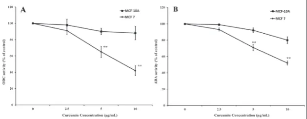 Fig. 3. Morphological changes of MCF-7 cells treated with different concentrations of curcumin for 48 h viewed under the inverted phase-contrast microscope (×200)