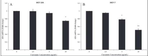 Fig. 7. qRT-PCR analysis of ADA mRNA expression in MCF-10A normal breast cells (A) and MCF-7 cancerous breast cells (B)
