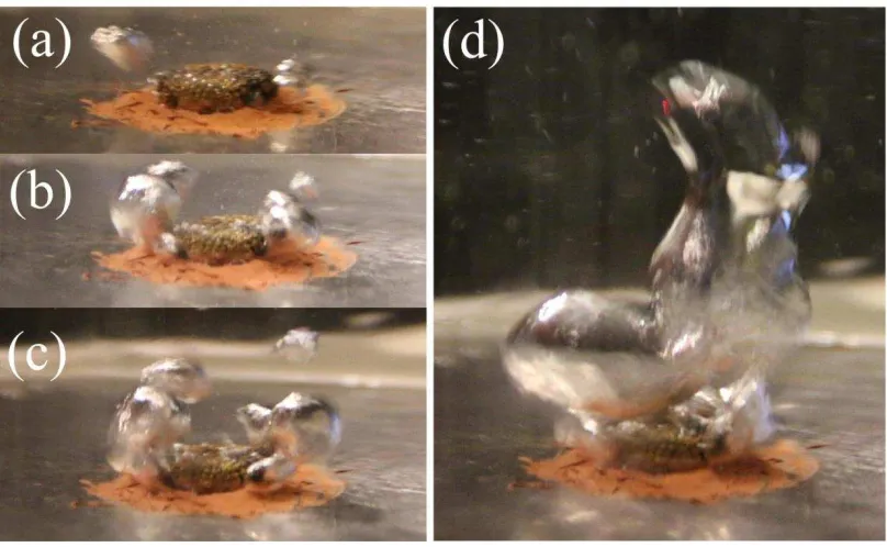 FIG. 4. Liquid/vapor distribution and bubble movement in the porous artery structure at different superheat: 