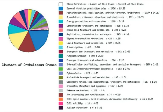 Table 1. Result of the pathogenicity test of different isolates on two corn cultivars.