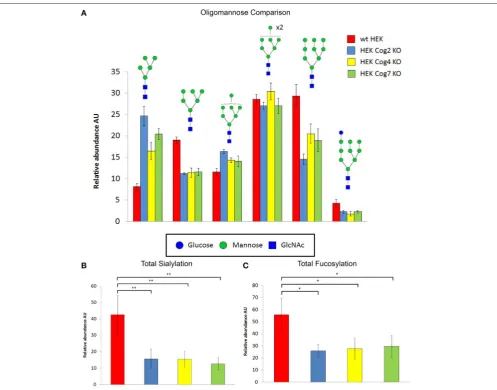 FIGURE 10 | COG KO cells have global changes in N-linked glycans structures. N-glycans prepared from cell lysates were proﬁled by mass spectrometry