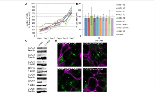 FIGURE 2 | Growth and rescue of COG KO cells. (A) Growth of WT and KO cells. Cells were plated in 24 well plates in triplicate at 100,000 cells per well (Day 0).n/ # of cells on day n-1)Cells were counted at the indicated time points over a week and cell c