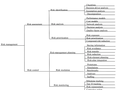 Figure 1. Software risk management steps.  