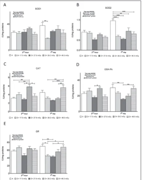 Fig. 2. The effect of different absorbed doses on: A – SOD1 activ-ity; B – SOD2 activity; C – CAT activity; D – GSH-Px activity; e – GR activity in rabbit testicles, measured 2 h and 7 days follow-ing CT