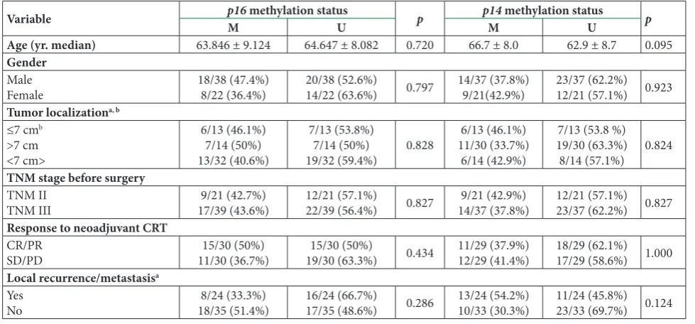 Table 2. Correlation of p16 and p14 methylation status with immunohistochemical parameters.