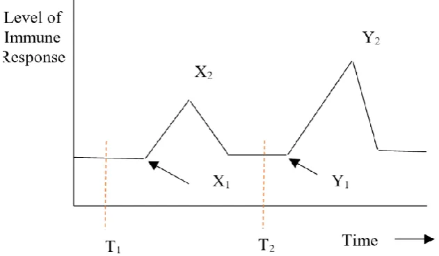 Fig. 5. DSR route reply (RREP). 