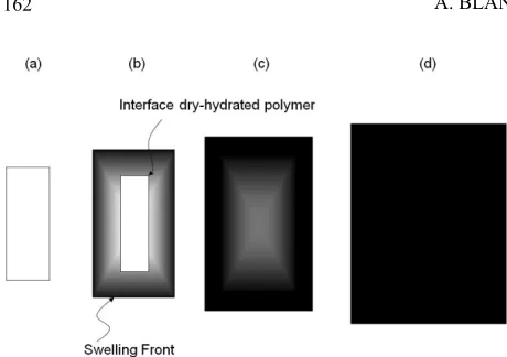 Figure 1. Qualitative description of polymer relaxation dur-ing water sorption into a slab geometry (adapted from [6])