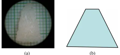 Figure 11. Fit of the model to water uptake in non-cylin- drical sample shapes: Truncated cone