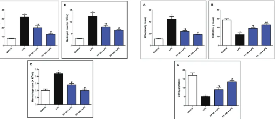 Fig. 5: PP decreased LPS-induced oxidative stress. Mice were treated with two different doses of the methanolic extract of PP (50 and 100 mg/kg, p.o.) once daily for 5 days prior to LPS in-jection (10 mg/kg, i.p.)