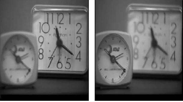 Figure 1.1: Left and Right Blurred