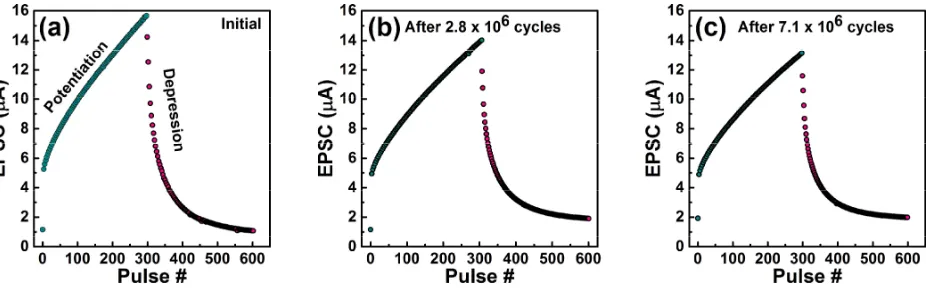 Fig 6: Synaptic response of the ZnO TFTs after repeated potentiation (0.5V, 10 ms) and depression 