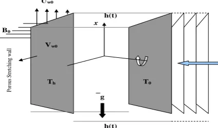 Fig. 1 : Flow configuration and coordinate 