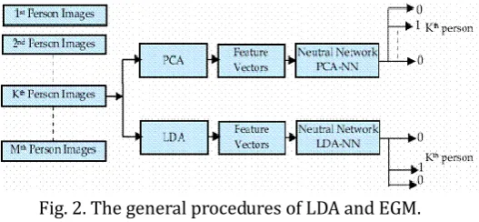 Fig. 2. The general procedures of LDA and EGM. 