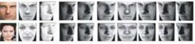 Fig. 3. Examples of illumination insensitive reflection maps and 3D models extracted from downloaded images are shown