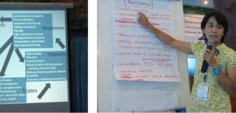 Figure 5 - Group three reporting on application  of DPSIR to cetaceans  