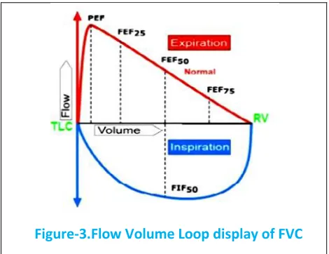 Figure-3.Flow Volume Loop display of FVC 