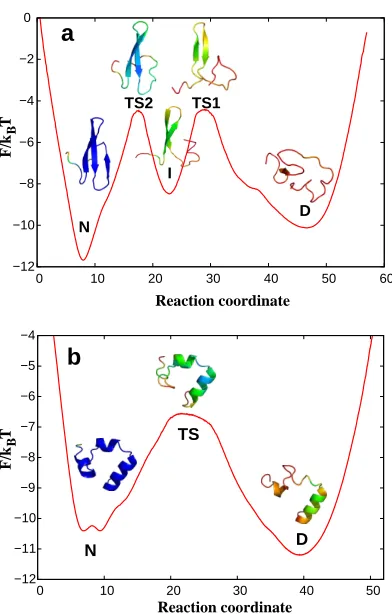 Figure 3: Free energy landscapes as functions of optimal reaction coordinates. The coordinates are rescaledso that the diﬀusion coeﬃcient isunfolding events
