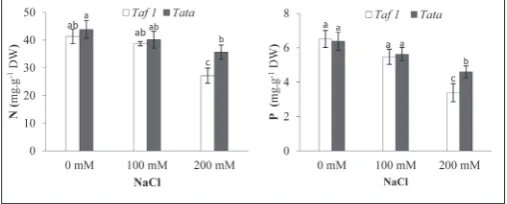 Fig. 4. Variation in membrane potentials in root cortical cells of plants from two Moroccan alfalfa populations, Taf 1 and Tata, grown in the absence of NaCl (A) or exposed to 200 mM NaCl for one week (B)