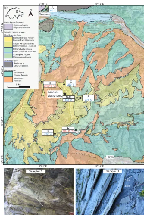 Figure 1. Geological map and outcrops.(c)intercalated with massive carbonaceous layers