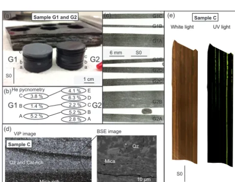 Figure 2. Overview of analytical techniques, S0: bedding, BIB-SEM: broad ion beam scanning electron microscopy, SEM: scanning electronmicroscopy, MIP: mercury intrusion porosimetry, and REA: representative element area