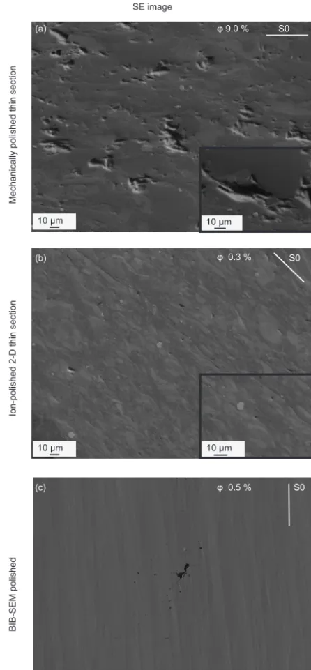 Figure 5. Differences in apparent porosity owing to applied samplepolishing techniques in different samples