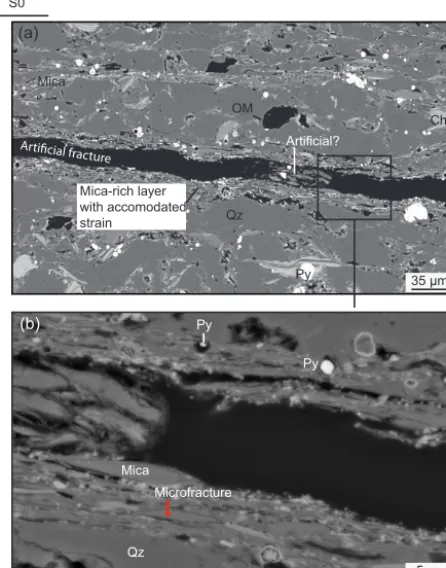 Figure 8. Fracture porosity.intercalated with ﬁne-grained sheet-silicate-rich layers in sample F.(b)by alignment of sheet silicates and the formation of microfractures.OM: organic material; Qz: quartz; Py: pyrite; Chl: chlorite; S0: bed- (a) Coarse-grained quartz-rich layers Strain accommodated in ﬁne-grained sheet-silicate-rich layersding.