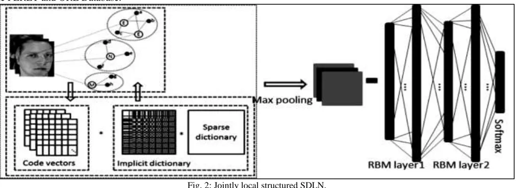 Fig. 2: Jointly local structured SDLN. 