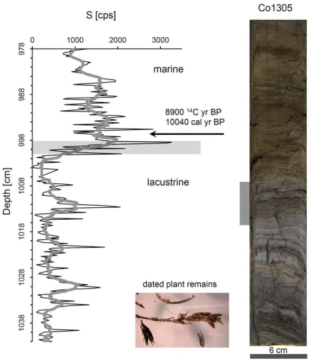 Figure 5: Sulphur counts (black line 2mm and grey line 2cm running average) obtained with an XRF 