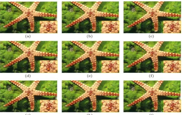 Fig. 11. Visual comparison of the “Starfish” images (3x). (a)BI. (b) Glasner. (c) NE. (d)SAI