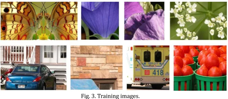 Fig. 3. Training images. 