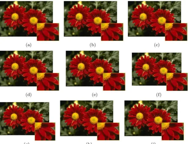 Fig. 5. Visual comparison of the “Flower” images (3x). (a)BI. (b) Glasner. (c) NE. (d)SAI