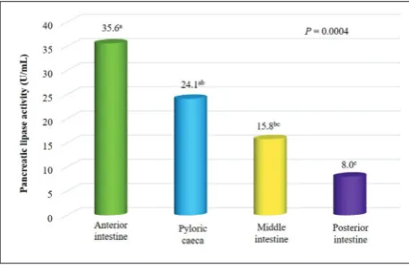 Fig. 1. A – PAGE gel of the semi-purified crude extract of pan-creatic lipase from different sections of the gastrointestinal tract of Totoaba macdonaldi, with a molecular weight of 70.4 kDa
