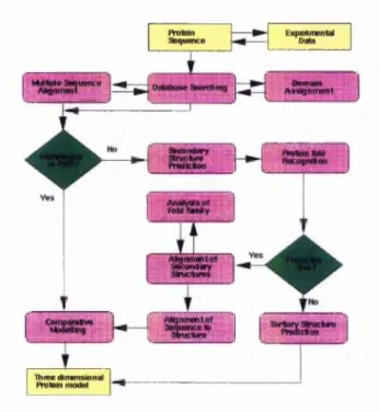 Figure 3-1:  Protein structure prediction  flowchart (by Rob  Russell, EMBL)