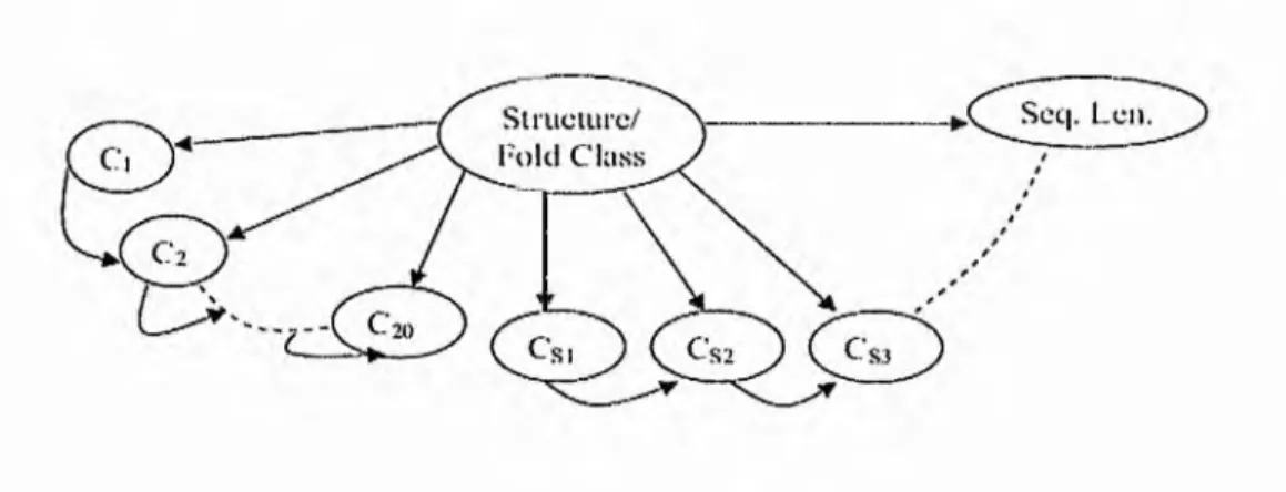Figure 3-3:  TAN  Bayesian Classifier (Chinnasamy, Sung, &amp;  M ittal 2004).
