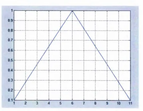 Figure 4-16:  Linear weight variation  method when N =  11.