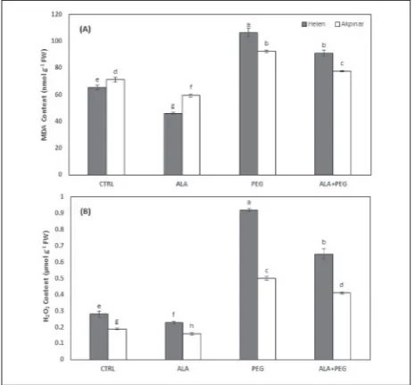 Fig. 1. The effect of exogenous ALA on leaf water potential (Ψleaf) (A) and dry weight (B) in two maize cultivars, Helen (filled square) and, Akpinar (open square), under osmotic stress condi-tions