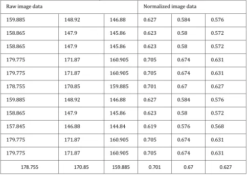 Table 1. Input Data Normalization Process 