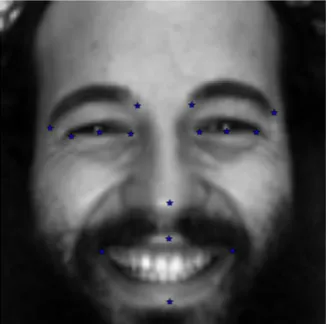 Fig. 3. Architecture of the 14-layer deep convolutional neural network.  