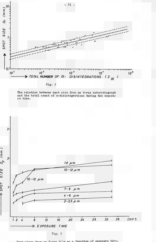 The r e l a t i o n between spot size from an X­ray autoradiograph Fig. 2 and the t o t a l count of α­disintegrations during the exposu­