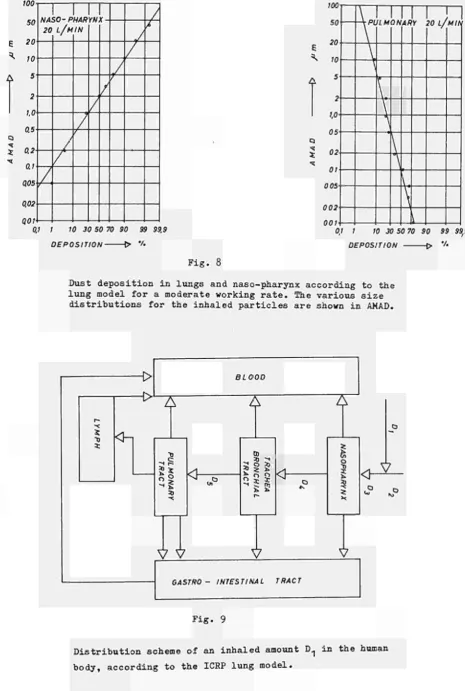 Dust deposition in lungs and naso­pharynx according to the Fig. 8 lung model for a moderate working r a t e 