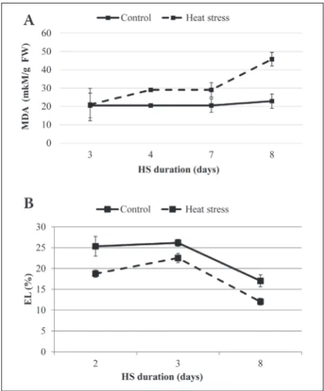 Fig. 1. The effect of duration of moderate HS (30±1.0°C/25±1.0°C, day/night) on the level of MDA (mkM/g fresh weight (FW)) (A) and electrolyte leakage (EL) (B) in E