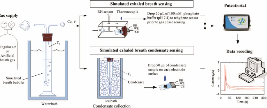 Figure 1. The breath output simulator was used to simulate exhaled breath by humidifying compressed air using an aqueous so- lution of a biomarker