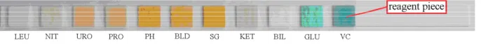 Figure 1. Urine reagent strip for eleven items. 