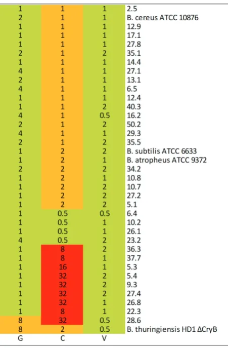 Fig. 2. Heat map with antibiotic susceptibility results of Bacillus isolates and reference strains to gentamycin (G), clindamycin (C) and vancomycin (V)