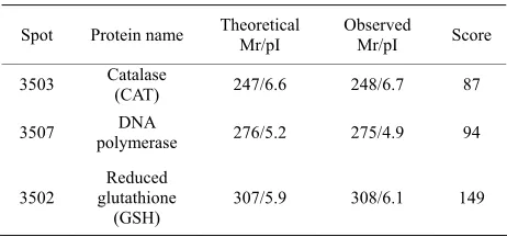 Figure 10. Changes in the relative spot volumes on wheat leaves between UV-B radiation and CK