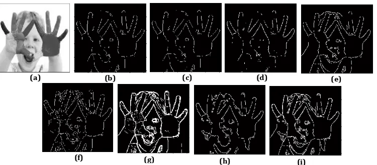 Fig. 4. Comparison of results for image “Baby.jpg” (a) Original image, (b) Prewitt, (c) Sobel, (d) Roberts, (e) Canny, (f) Log, (g) MM, (h) Wavelet (i) Hybrid