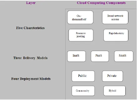 Figure 1: Cloud Environment Architecture-adopted from NIST definition [1]. 
